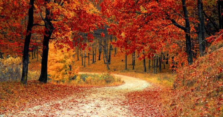 χωρίς τίτλο 49